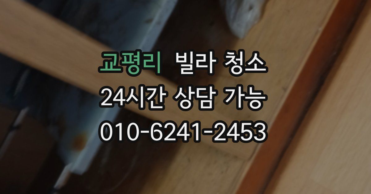 교평리 빌라 청소