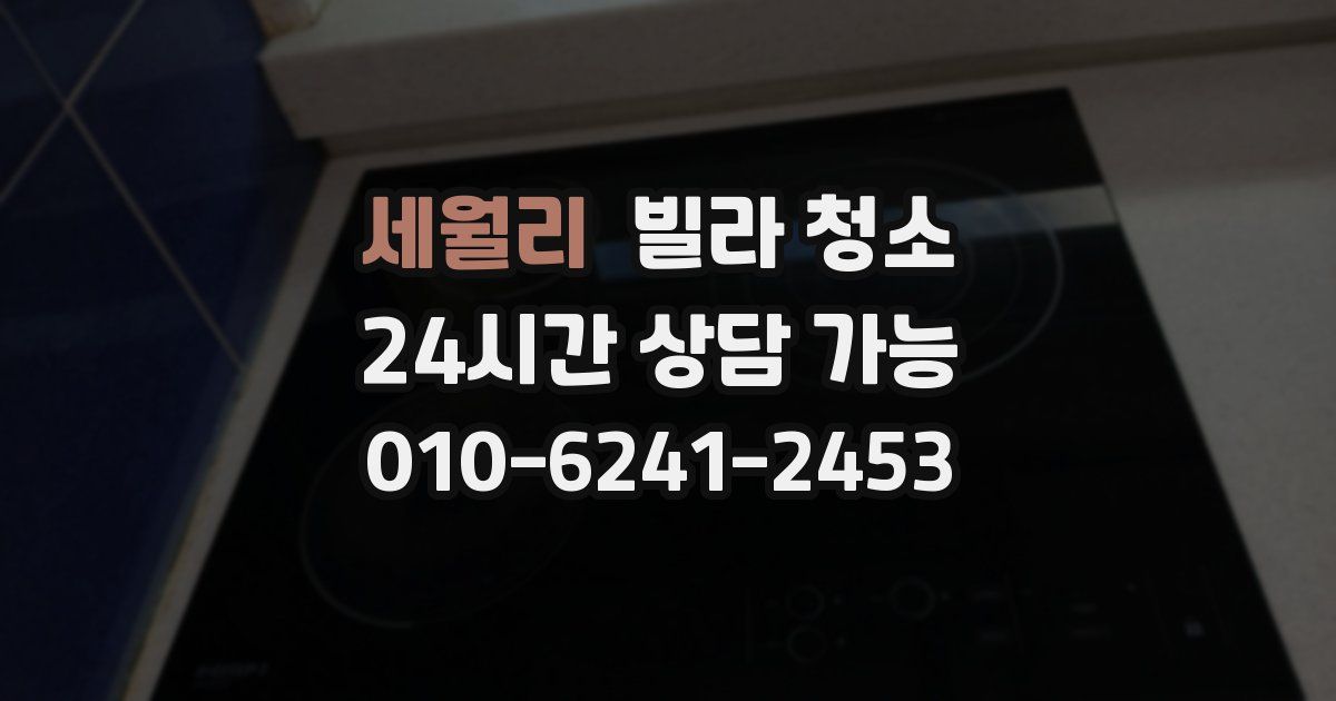 세월리 빌라 청소