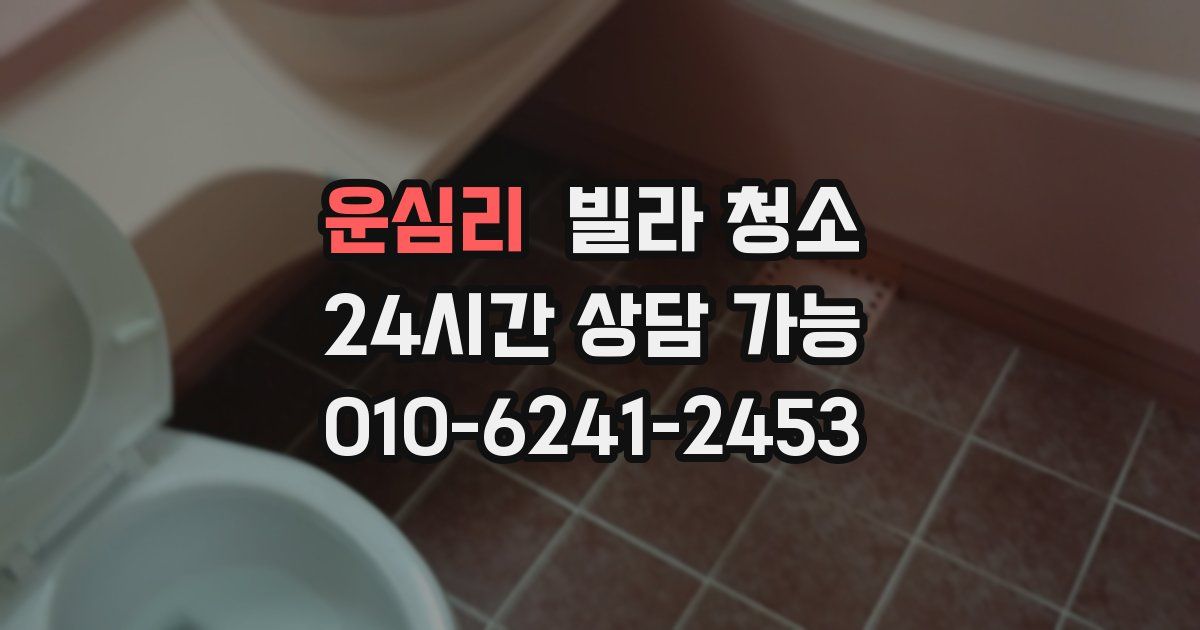 운심리 빌라 청소