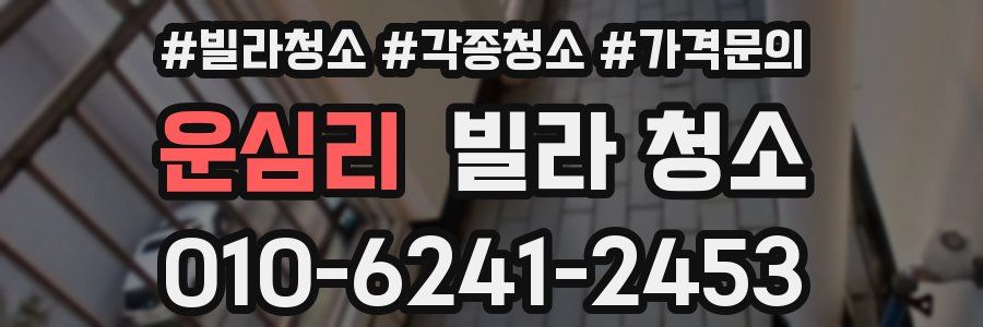 운심리 빌라 청소