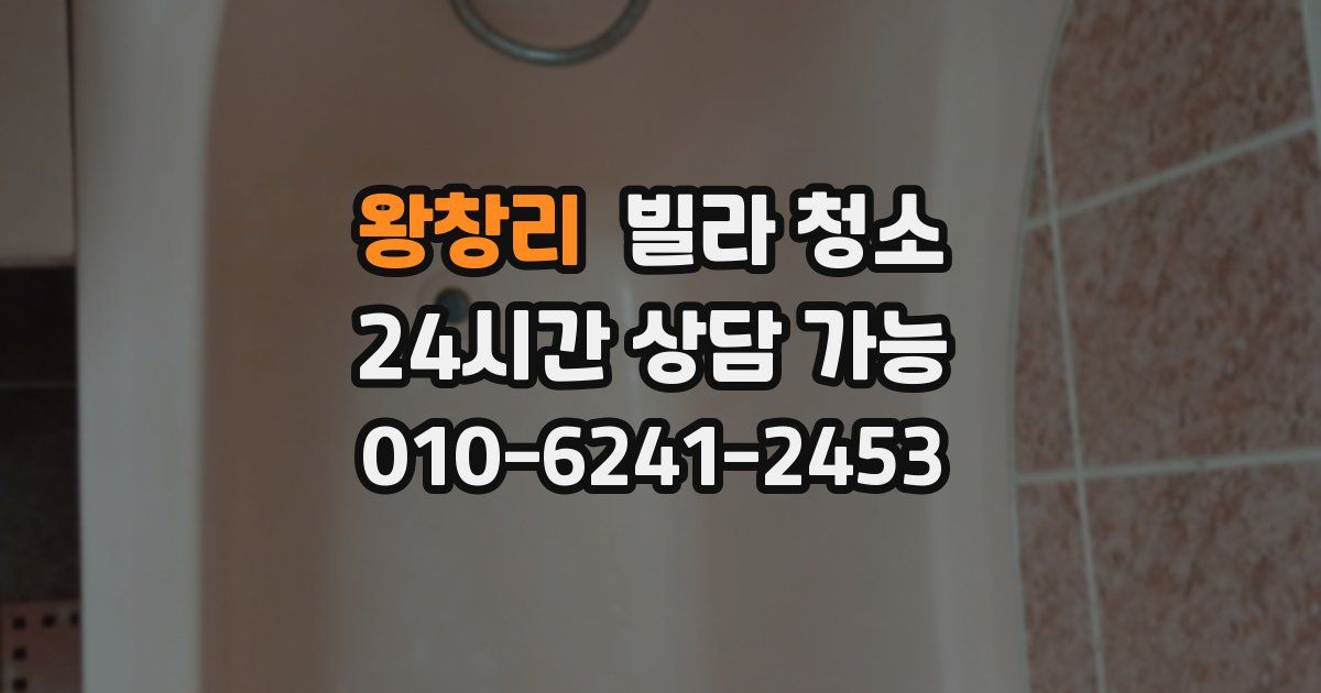 왕창리 빌라 청소