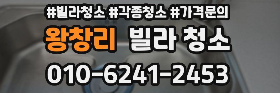 왕창리 빌라 청소