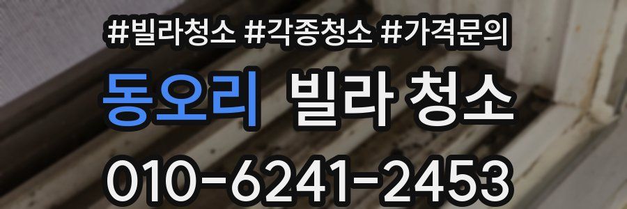 동오리 빌라 청소