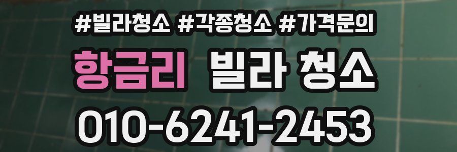 항금리 빌라 청소