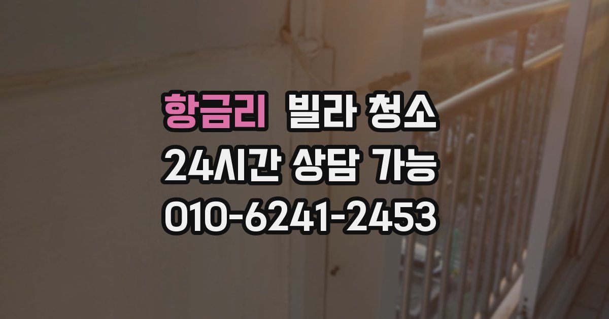 항금리 빌라 청소