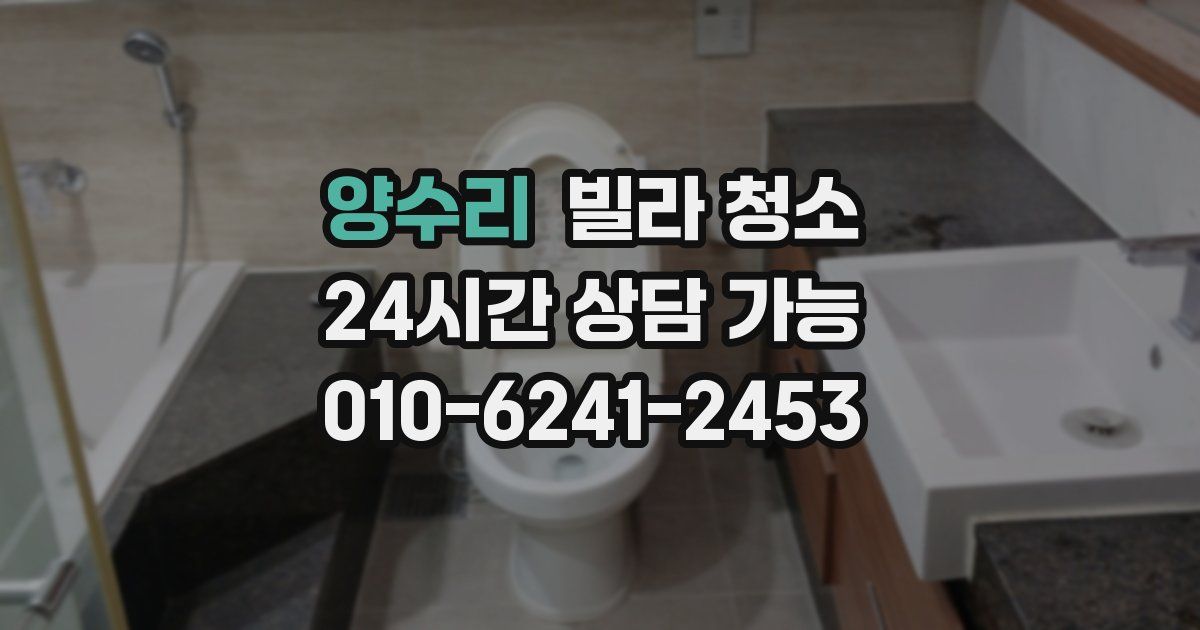 양수리 빌라 청소