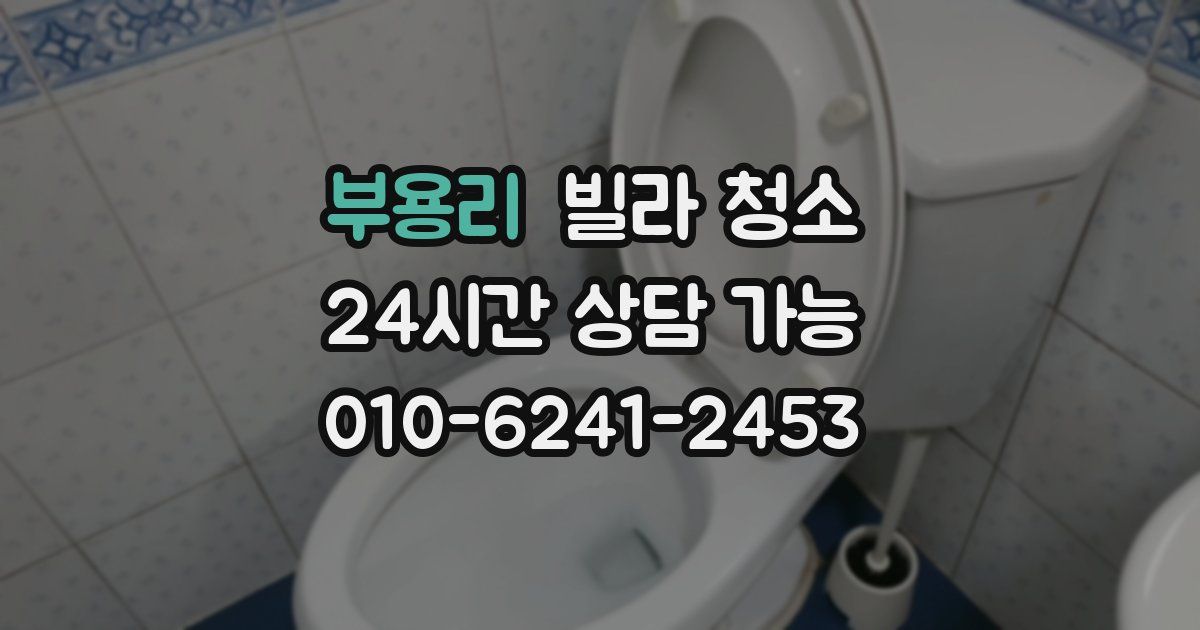 부용리 빌라 청소