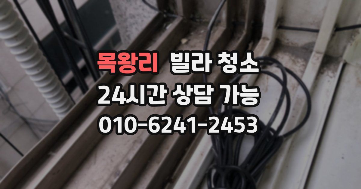 목왕리 빌라 청소