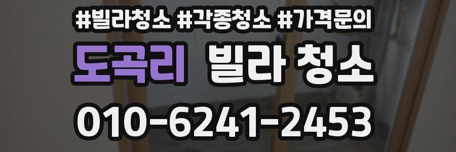 도곡리 빌라 청소