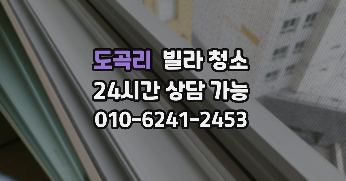 도곡리 빌라 청소