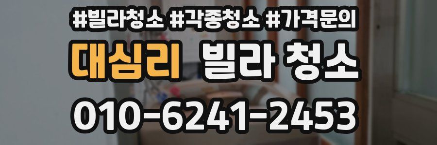 대심리 빌라 청소