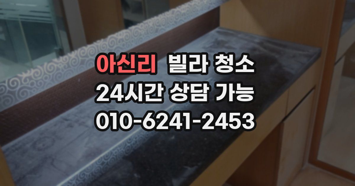 아신리 빌라 청소