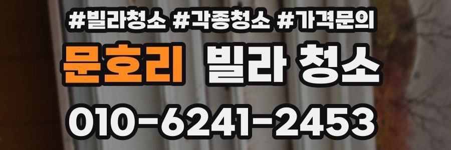 문호리 빌라 청소