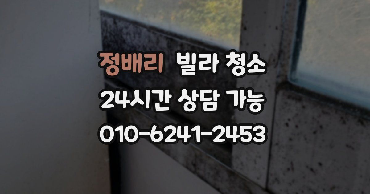 정배리 빌라 청소