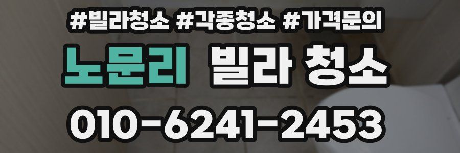노문리 빌라 청소