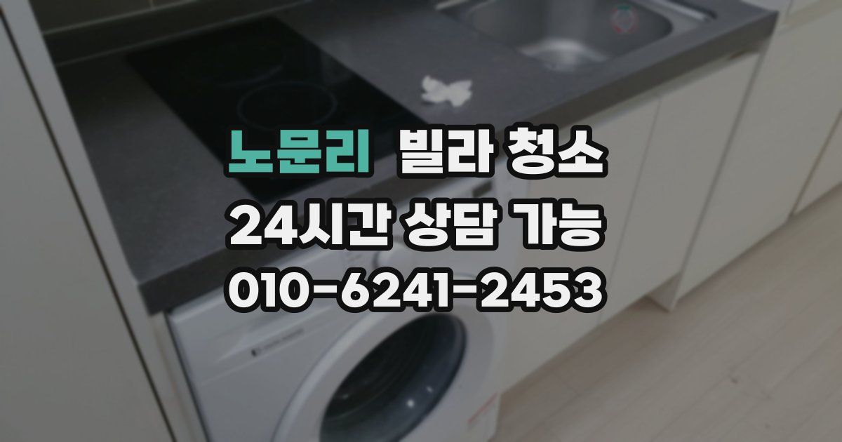 노문리 빌라 청소