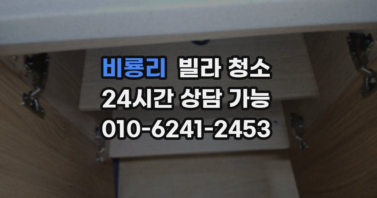 비룡리 빌라 청소