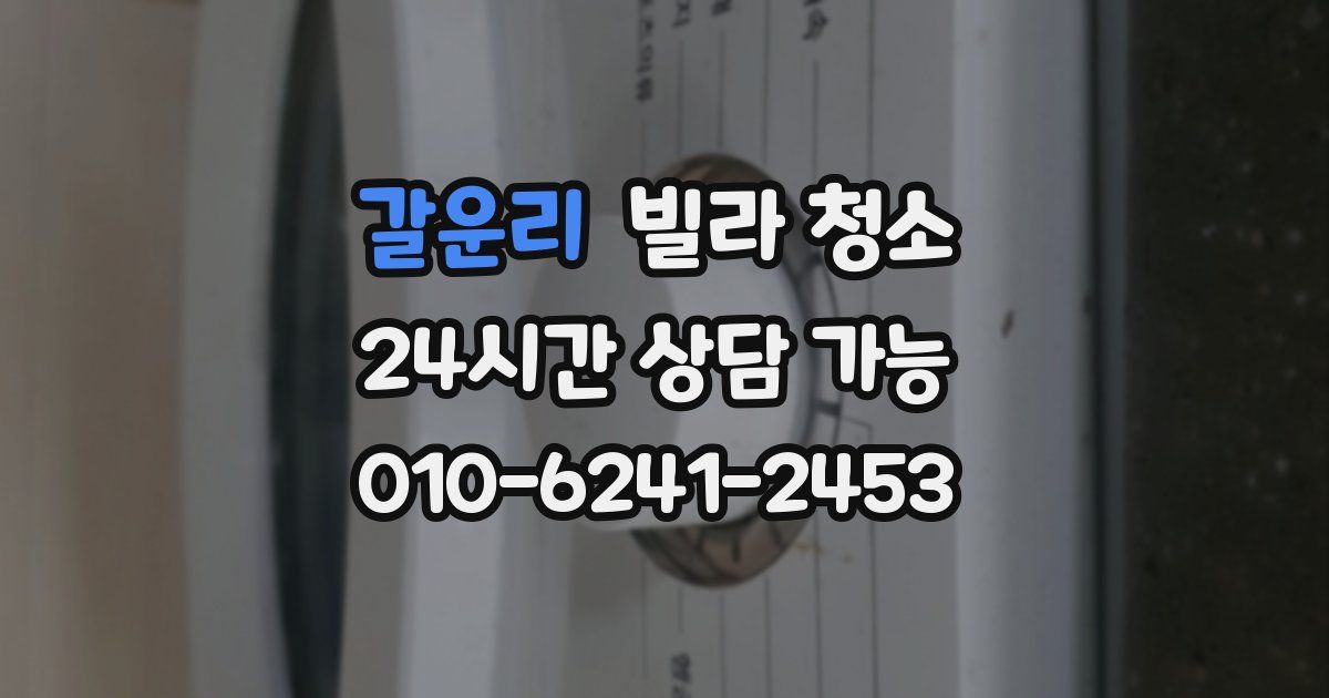 갈운리 빌라 청소