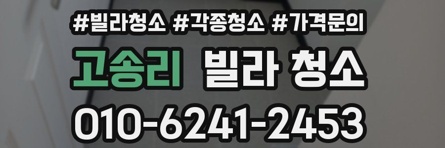 고송리 빌라 청소