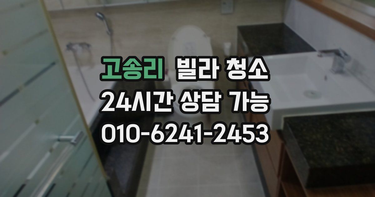 고송리 빌라 청소