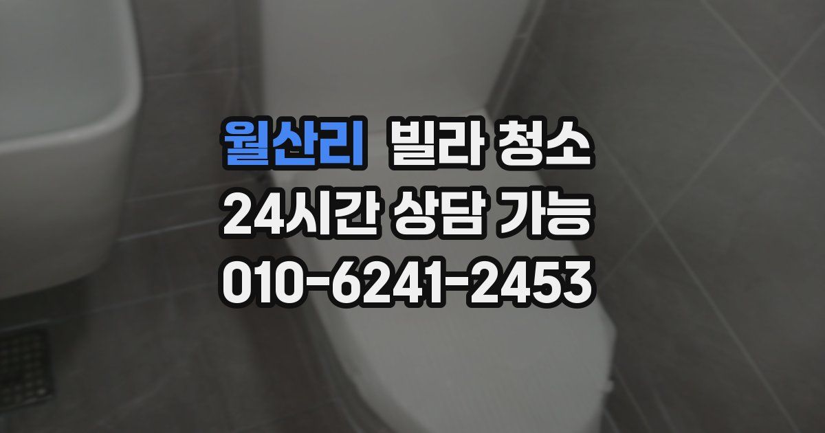 월산리 빌라 청소