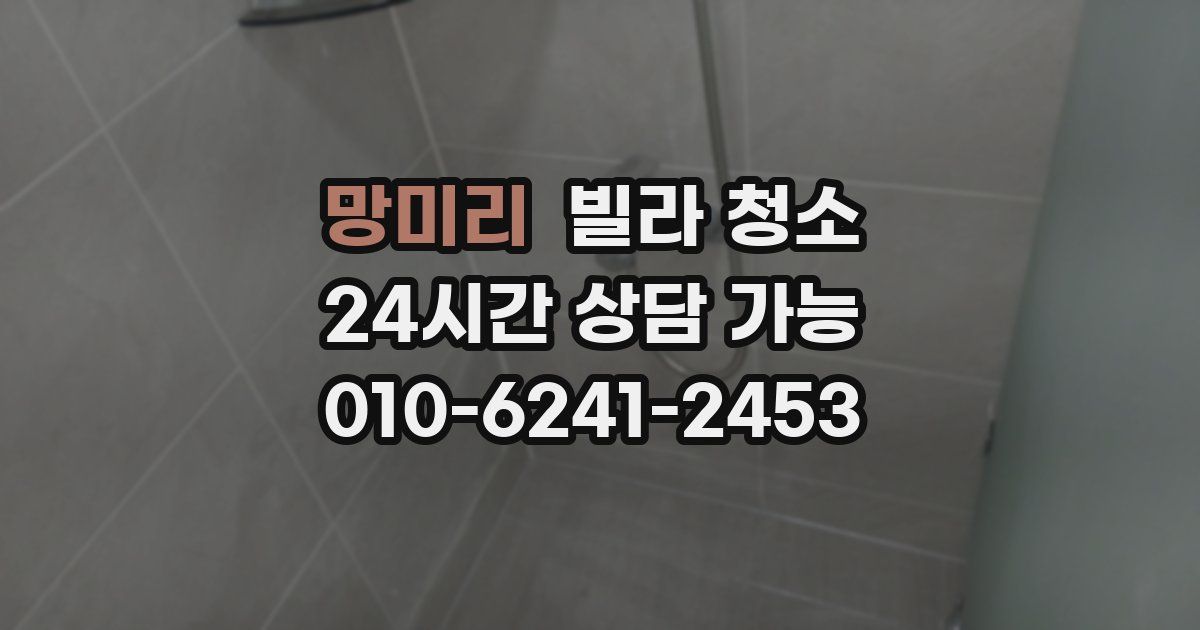 망미리 빌라 청소