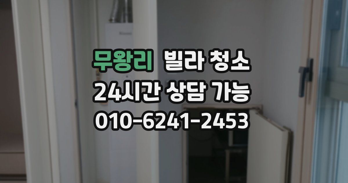 무왕리 빌라 청소