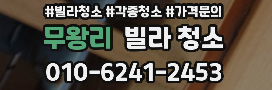 무왕리 빌라 청소