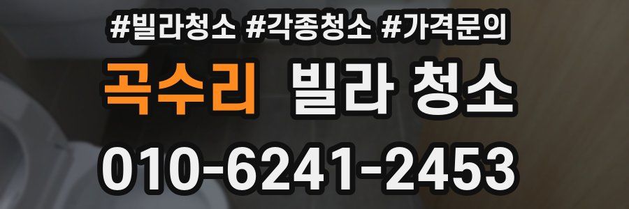 곡수리 빌라 청소