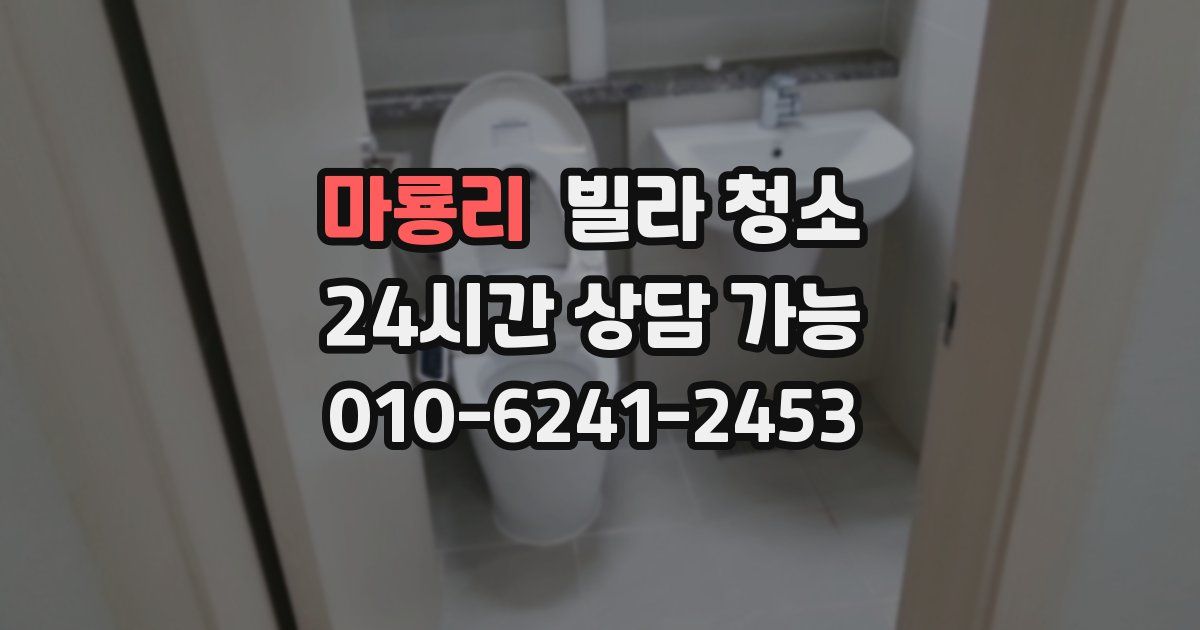 마룡리 빌라 청소