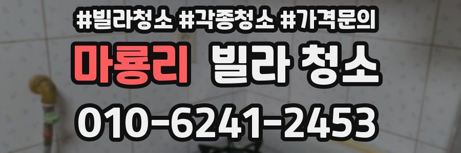 마룡리 빌라 청소