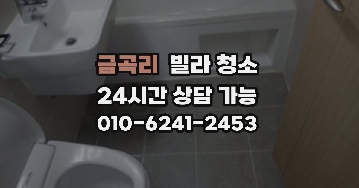 금곡리 빌라 청소