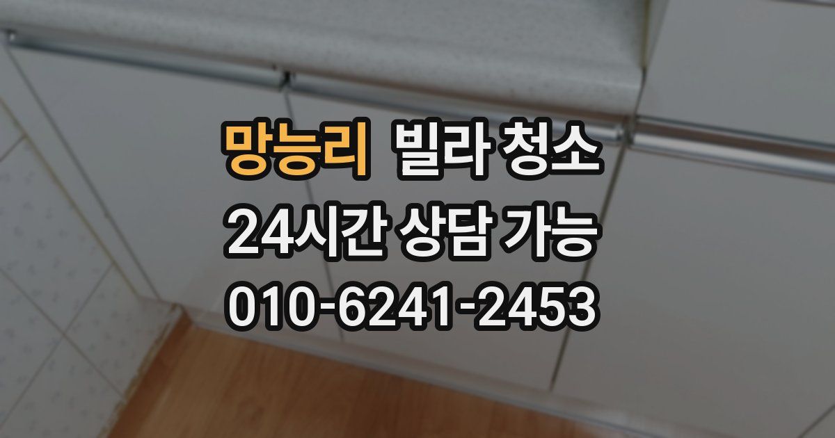 망능리 빌라 청소