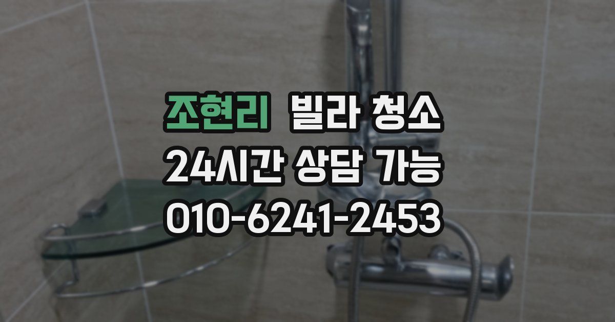 조현리 빌라 청소