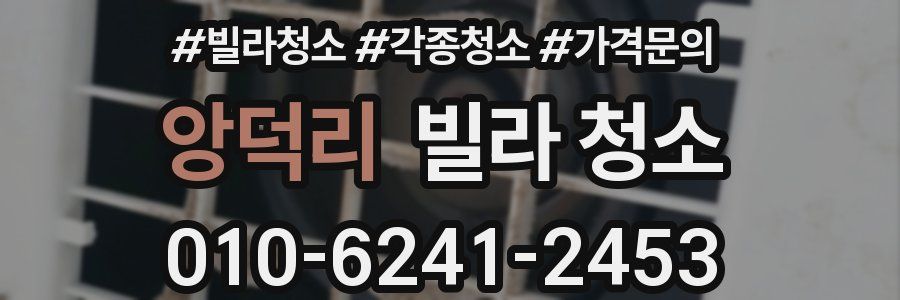 앙덕리 빌라 청소