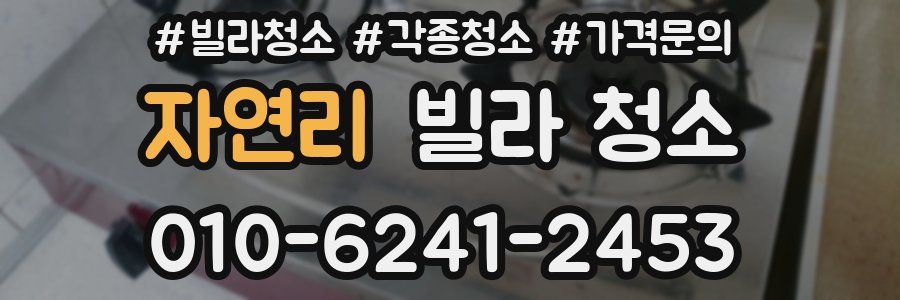 자연리 빌라 청소