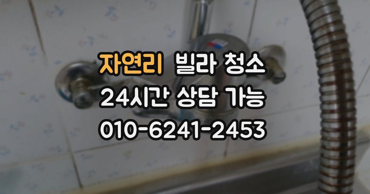 자연리 빌라 청소