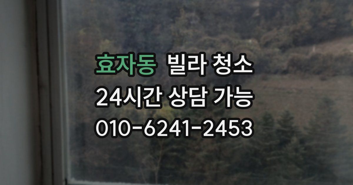 효자동 빌라 청소