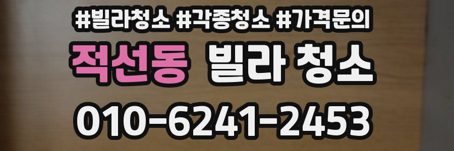 적선동 빌라 청소