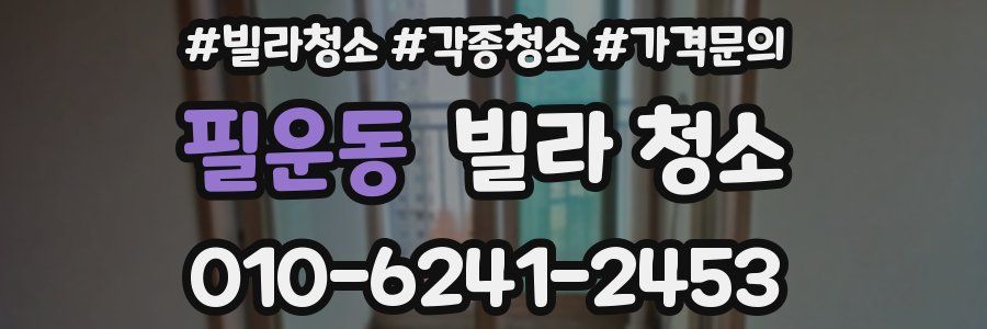 필운동 빌라 청소