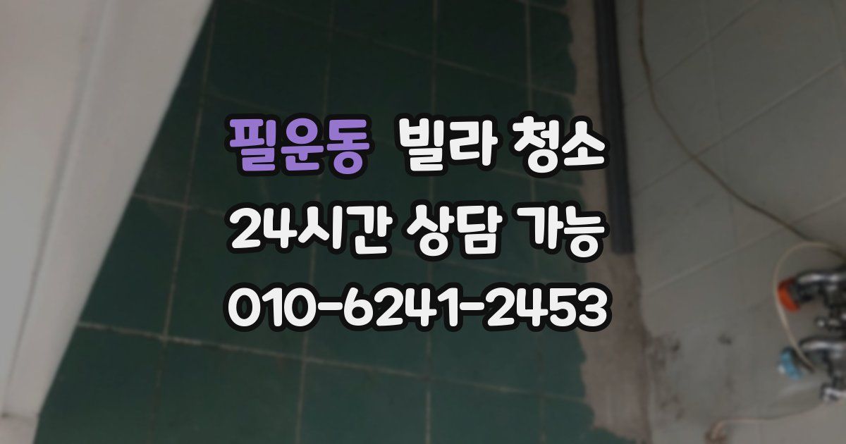 필운동 빌라 청소