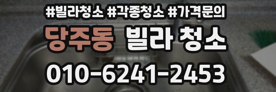 당주동 빌라 청소