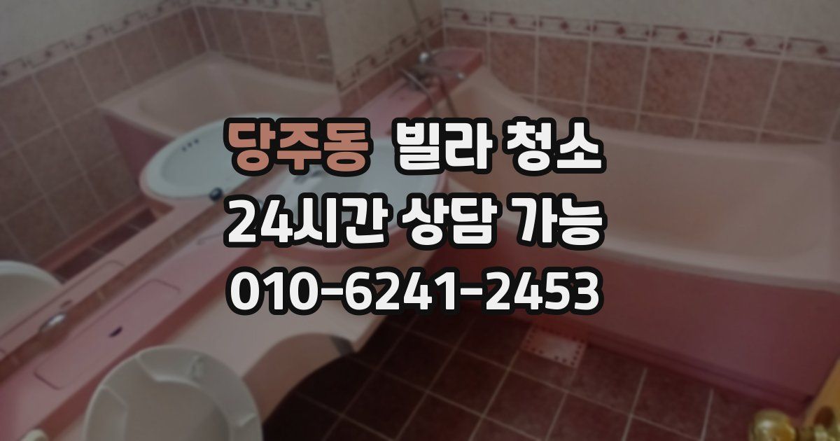 당주동 빌라 청소