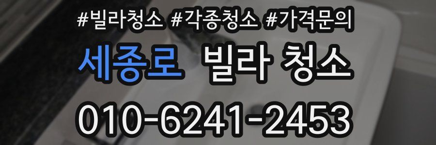 세종로 빌라 청소