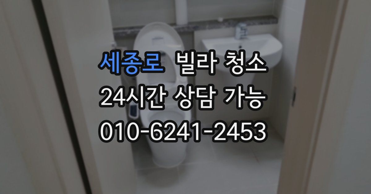 세종로 빌라 청소