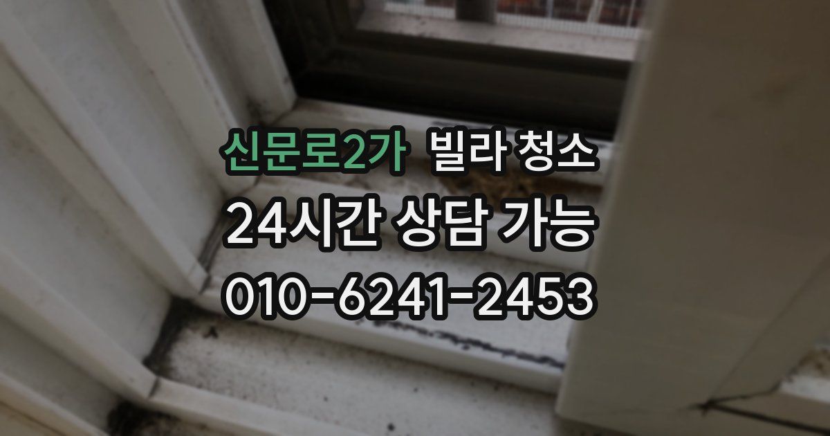 신문로2가 빌라 청소