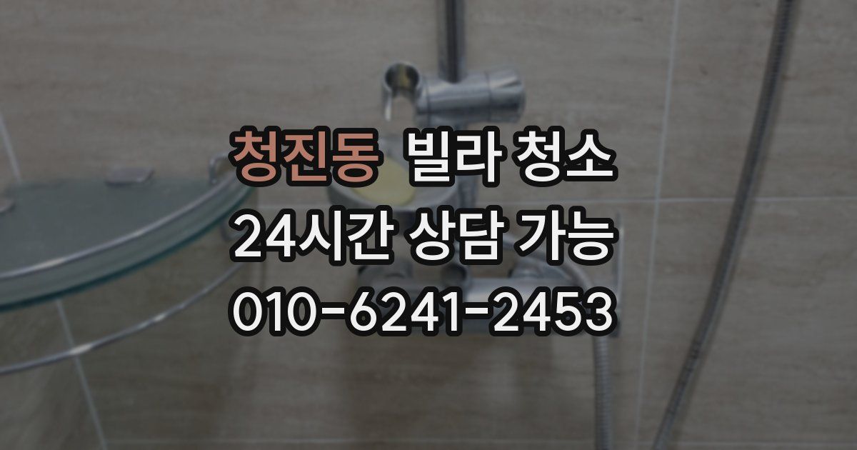 청진동 빌라 청소