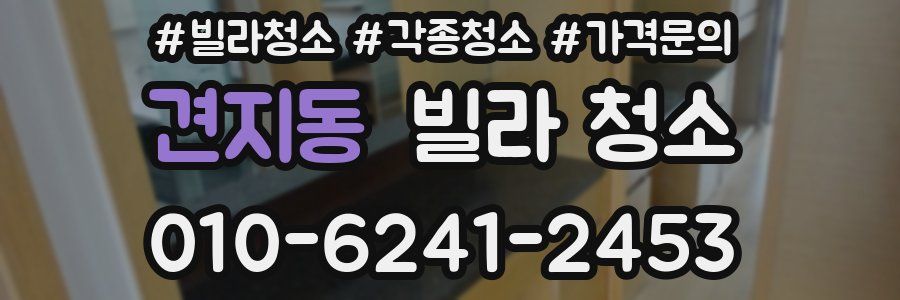 견지동 빌라 청소