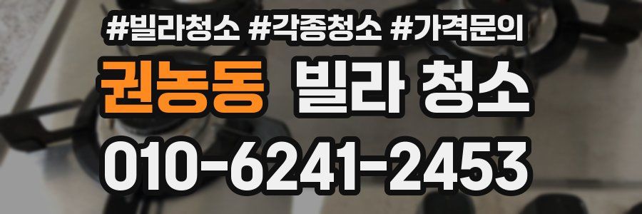 권농동 빌라 청소