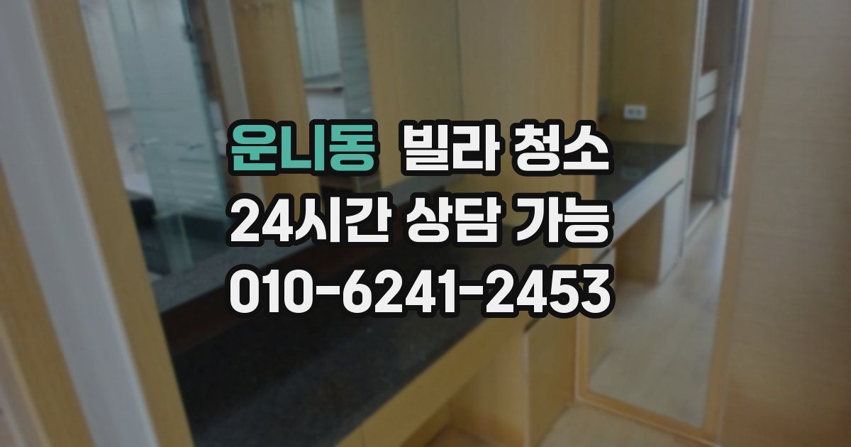 운니동 빌라 청소